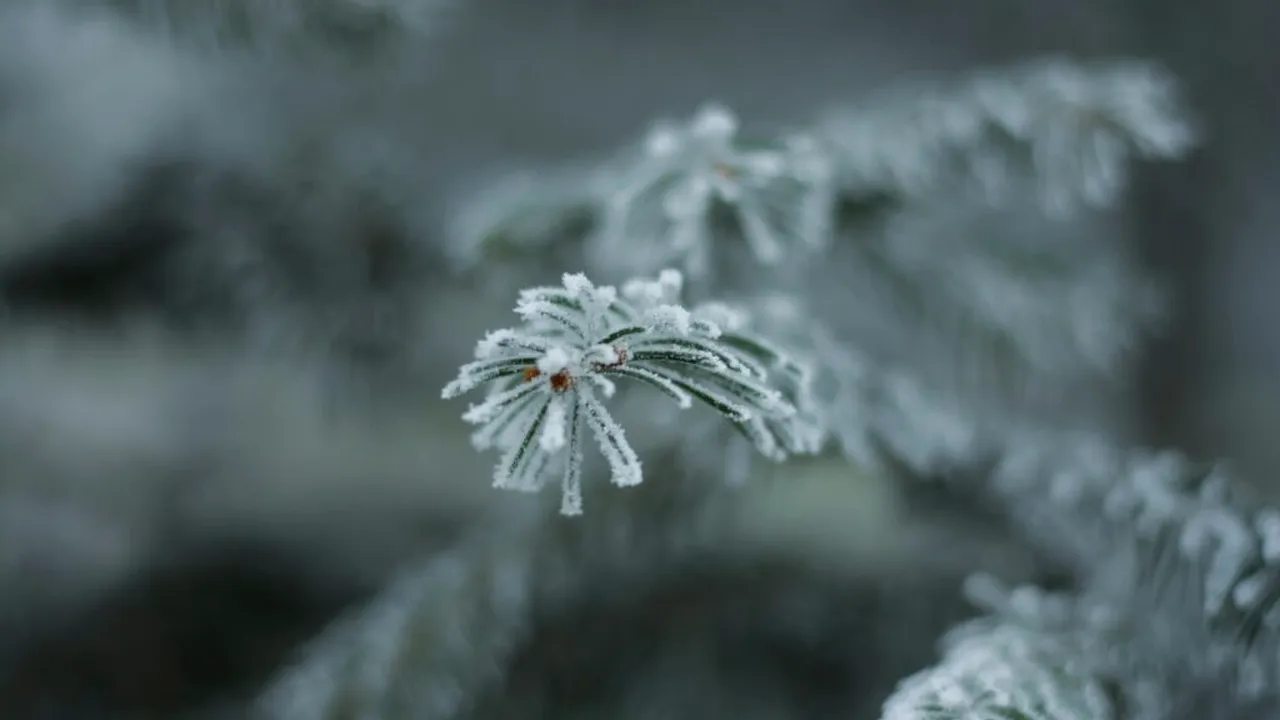 Minus 2 degrees Celsius towards the end of the week - radical change in temperature