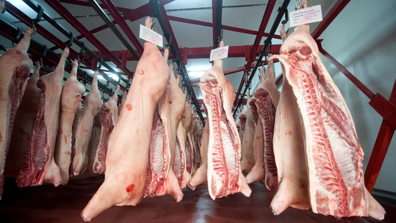Marea Britanie interzice produsele germane din carne de porc după apariţia unui caz de febră aftoasă