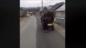 Căruţă, lovită în plin pe un drum judeţean: Patru răniţi, între care doi copii