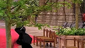 Ce s-a întâmplat în Westminster Abbey dupa căsătoria prinţului William - VIDEO