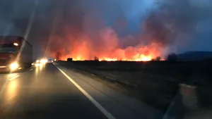 Trafic blocat pe DN1, la ieşirea din Făgăraş către Sibiu, din cauza unui puternic incendiu de vegetaţie | FOTO