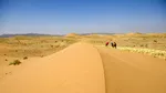 Fenomen unic: Cel mai arid deșert al Pământului este acoperit acum de flori sălbatice