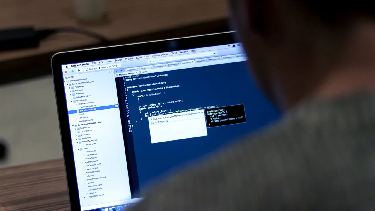 Costul mare la care a ajuns în România recrutarea şi integrarea în companie a unui programator