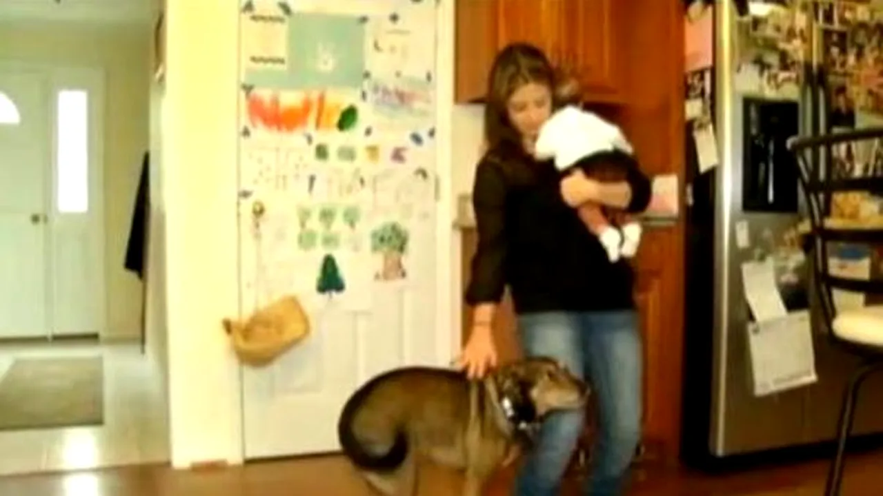 CÂINELE EROU. Un copil de nouă săptămâni a fost salvat de la moarte de căţelul familiei - VIDEO
