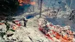 Incendiu pe malul brațului Chilia, în apropiere de Plauru. Specialiștii MApN verifică zona