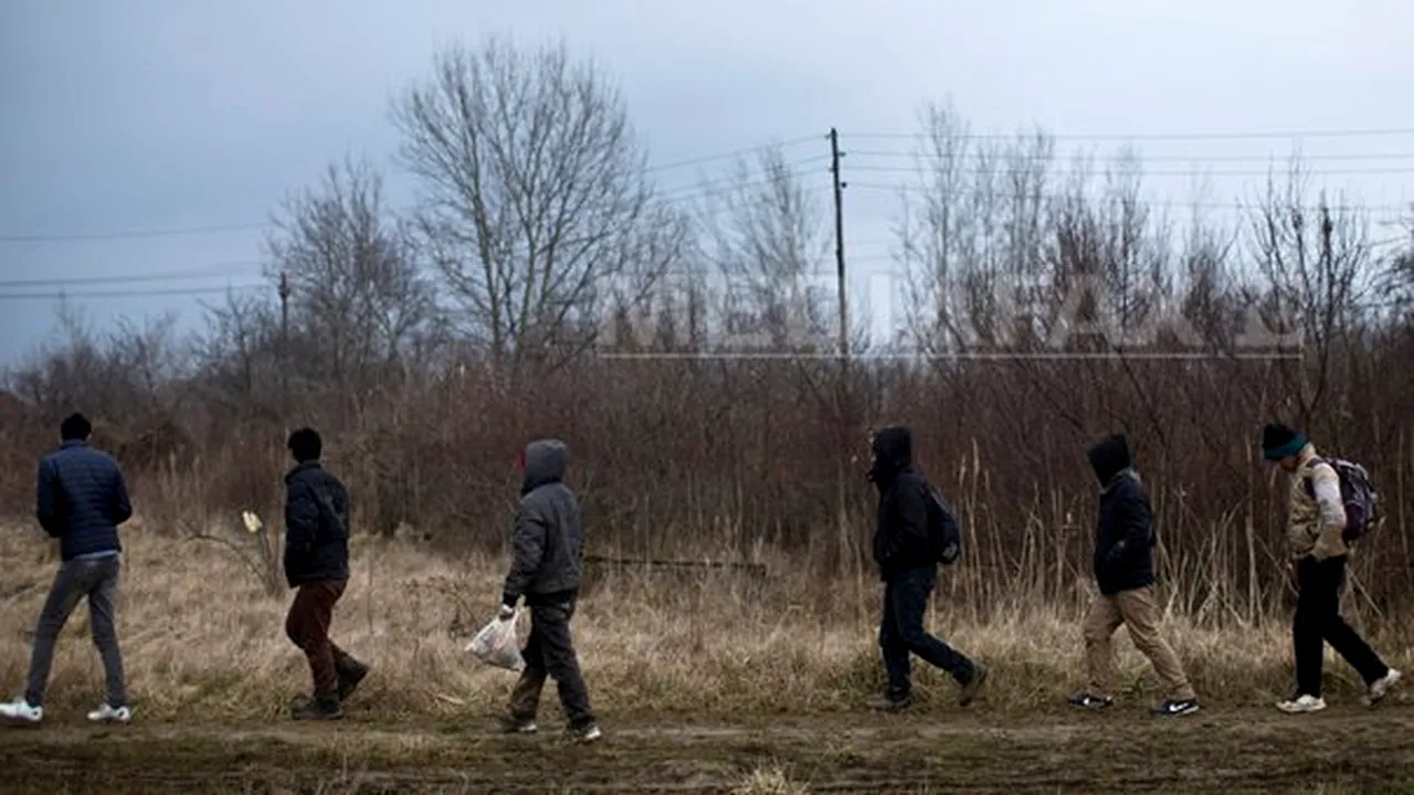 Ungaria vrea să construiască un gard la graniţa cu Serbia pentru combaterea imigraţiei ilegale