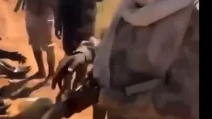 Ultimul oraș important din Sudan capitulează în fața miliției paramilitare RSF / Videoclipuri cu atrocități îngrozitoare comise de RSF au inundat rețelele sociale sudaneze