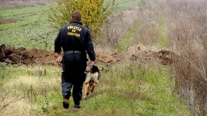 Doi poliţişti de frontieră din Maramureş au dispărut în patrulare. Mai multe echipe de salvare au pornit în căutarea lor