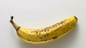 FOTO | Artă sau o glumă bună? Banana în valoare de 120.000 de dolari a iscat controverse