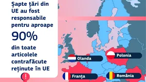 România și alte șase state, responsabile de 90% din produsele contrafăcute reținute în UE
