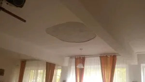 Porţiune de tavan prăbuşită într-o şcoală din Alexandria: TREI copii au fost răniţi - FOTO