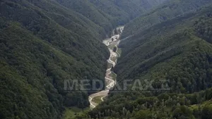 Ce a scos la iveală scanarea cu laser a pădurilor din Cambodgia - VIDEO