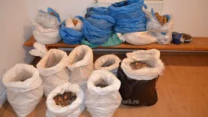 100 de kilograme de pietre semipreţioase, descoperite la graniţă. O femeie este cercetată pentru complicitate la contrabandă | FOTO