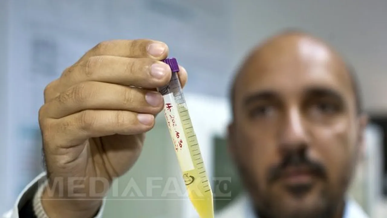 Sânge artificial creat de cercetători clujeni, testat pe şoareci cu rezultate încurajatoare - FOTO