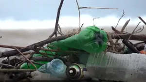 BBC: Marea Neagră, tratată zeci de ani ca un coş de gunoi al ţărilor din Est, a ajuns cea mai poluată din Europa