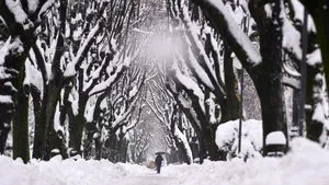 METEO ANM, informare meteo: ploile și ninsorile cuprind toată România, până duminică