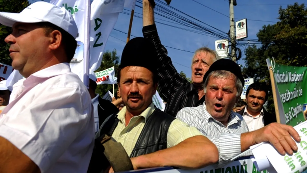 400 de agricultori vor picheta marţi sediul Ministerului Agriculturii şi cel al Finanţelor