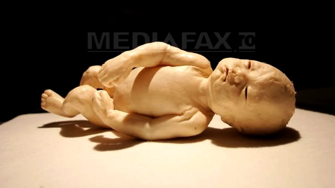 Aproape 2.000 de fetuşi morţi, găsiţi într-un templu budist din Bangkok