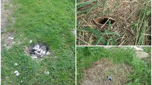 În judeţul în care recent a dispărut o parcare întreagă, hoţii au furat şi 14 stâlpi şi indicatoare rutiere de pe două drumuri naţionale