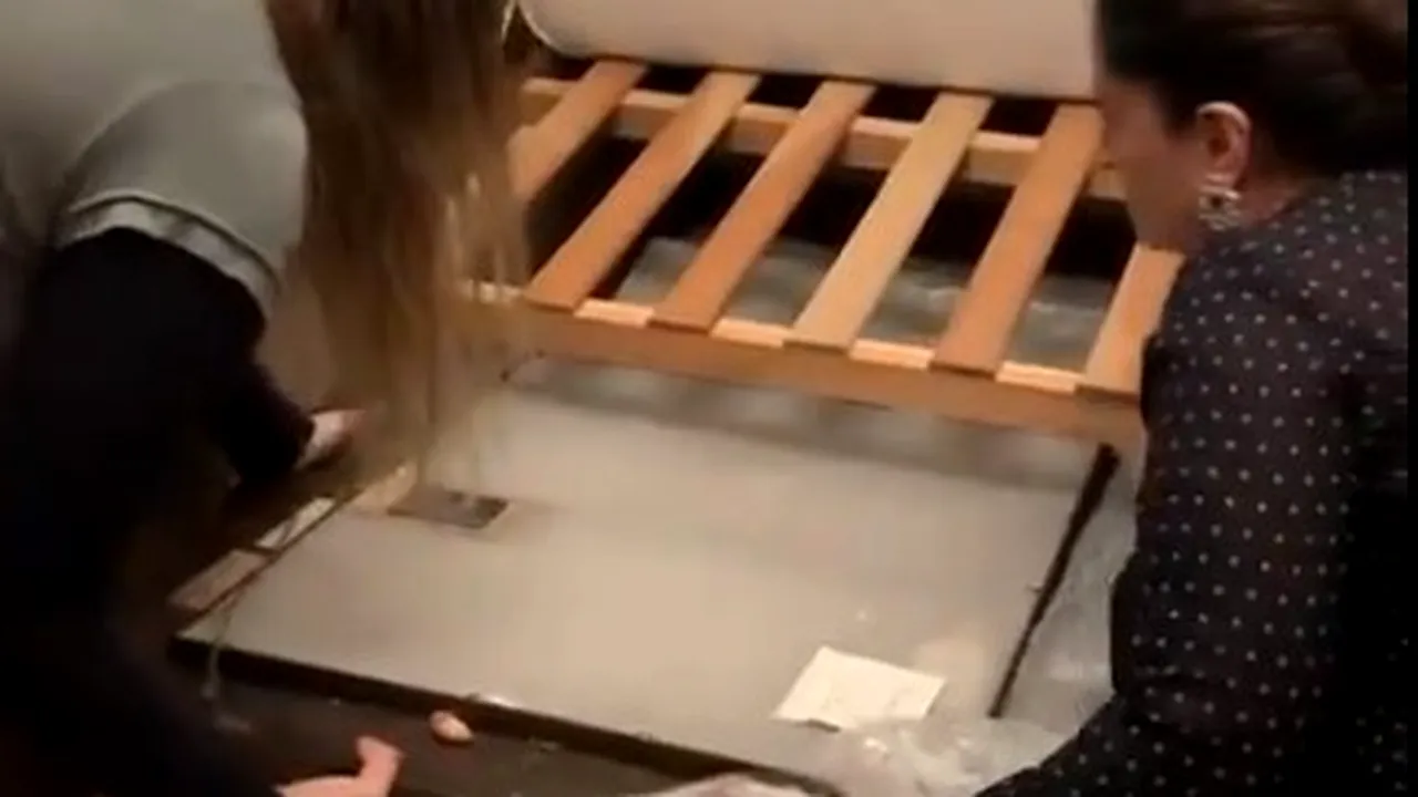 Un tablou în valoare de circa 50 de milioane de lire sterline, furat prin escrocherie şi ascuns sub pat FOTO VIDEO