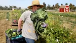 Farmers have until June 13 to submit payment applications to APIA