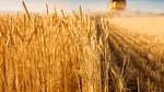 ANUNT PRIVIND FINALIZAREA DERULARII PROIECTULUI GRANT PENTRU CAPITAL DE LUCRU ACORDAT BENEFICIARULUI ARGES AGRO PROIECT SRL