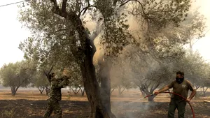 Atenţionare MAE: Pericol major de producere a incendiilor de vegetaţie în Grecia