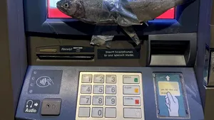Un adolescent din SUA se confruntă cu acuzaţii după ce ar fi lipit peşti pe bancomate dar şi pe o maşină de poliţie