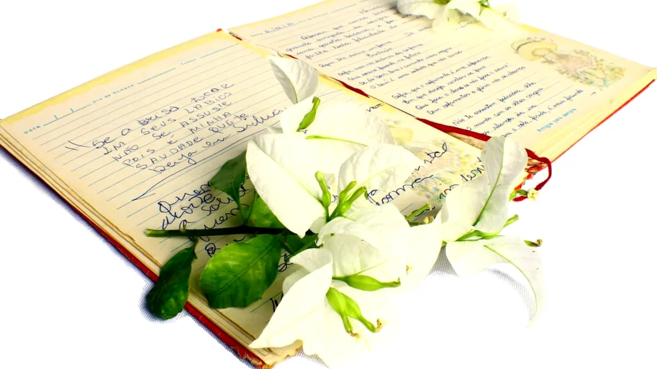 Lucrurile inimaginabile pe care le face poezia în creierul tău