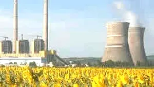 Over 400 Turceni Employees Might Meet Retirement Conditions By 2015