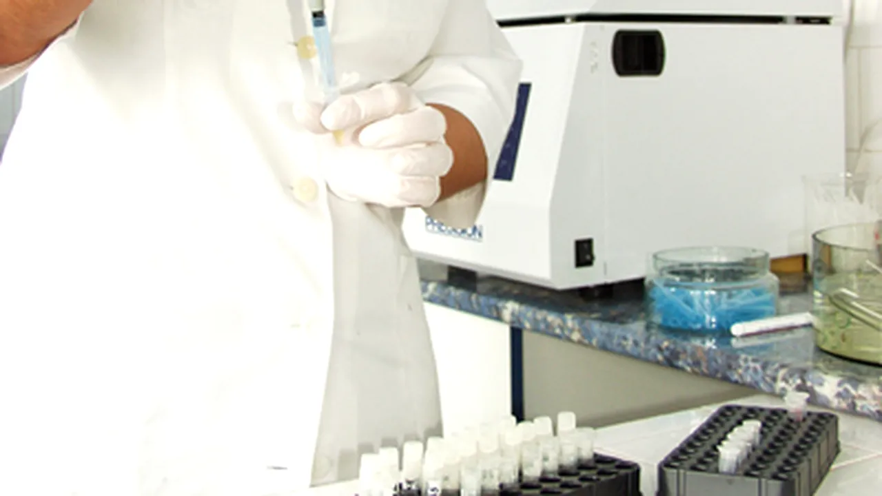 Malaria ar fi putut să se transmită de la cimpanzei la oameni
