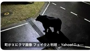 Panică în Japonia: Imagini false cu urși generate de AI pe fondul unui număr record de atacuri reale