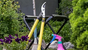 Opt sarcini de făcut în grădină înainte de sfârșitul lunii august. Ce recomandă horticultorii