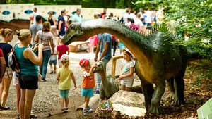 Dino Parc Râşnov, alegerea nr. 1 în rândul parcurilor tematice din România