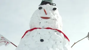 FOTO Cel mai mic om de zăpadă: Este incredibil de mic, doar la microscop poate fi văzut 