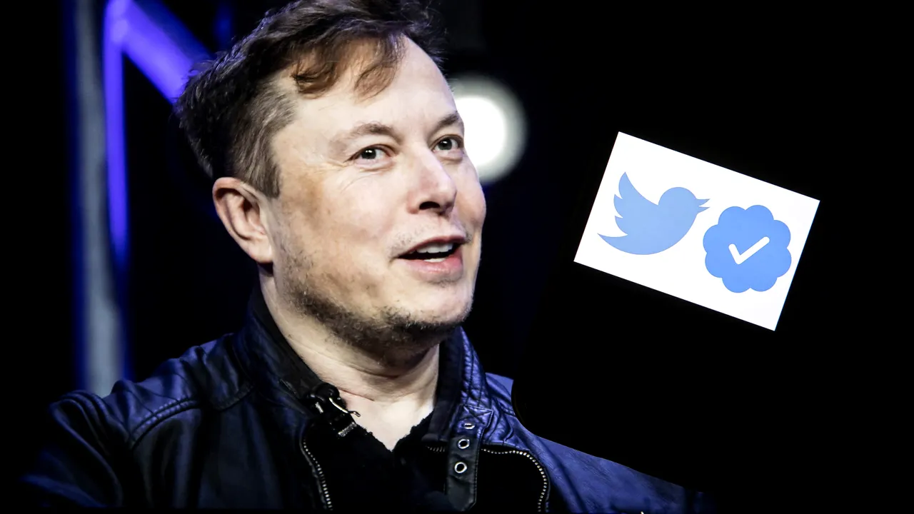 Twitter a confirmat: Utilizatorii pot primi în curând bifa albastră dacă vor plăti o taxă lunară 