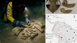 Cercetătorii descoperă fosile rare din Epoca de Gheață în adâncurile unei peșteri subacvatice