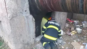 Angajaţii de la Infrastructură 5 au salvat un cetăţean căzut într-un canivou (P)