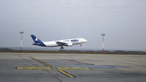 Timişoara: 71 de vaci, aduse cu avionul din Irlanda, pentru mai multe familii nevoiaşe din Mureş - FOTO