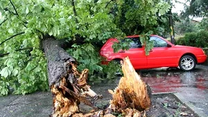 Furtuni puternice în ţară: Zeci de copaci doborâţi de vânt, mai multe acoperişuri căzute şi străzi inundate