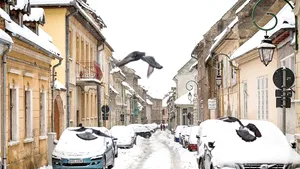 Cum va fi VREMEA în următoarele două săptămâni. Prognoza meteo până pe 25 ianuarie, pentru fiecare regiune a ţării