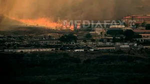 Sute de locuinţe, evacuate în sudul Californiei din cauza incendiilor de vegetaţie