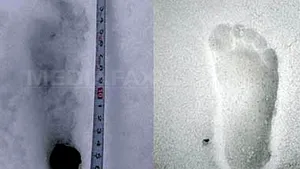 Misterul lui YETI ar fi fost ELUCIDAT