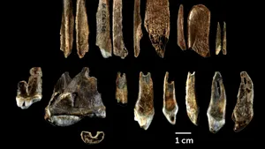 Descoperire importantă în apropierea României. Noile date revoluţioneză teoriile de până acum despre Homo sapiens