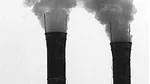 ONU: Nivelurile dioxidului de carbon au atins un nivel record în 2024