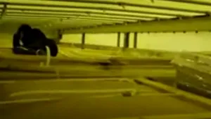 VIDEO: Două persoane din Siria şi Iran au încercat să intre în ţară. Ce metodă ingenioasă au folosit