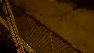 VIDEO Atenţie, vine ursul! Mesaj Ro-Alert în această noapte pentru locuitorii dintr-un oraş din Cluj