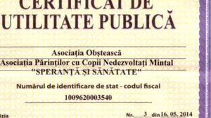 Guvernul VERIFICĂ finanţările date de autorităţile locale asociaţiilor şi fundaţiilor. Un deputat PSD vrea ca ONG-urilor de utilitate publică să li se interzică activităţile politice