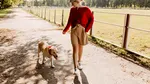 Medicii veterinari dezvăluie secretul unei vieți mai lungi pentru câini