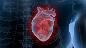 6 obiceiuri recomandate de cardiologi care întăresc sănătatea inimii